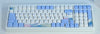 כיפות מקשים (Keycaps) בהשראת האוקיינוס – לווייתן, מדוזה, קרפדה | חריטת עברית PBT