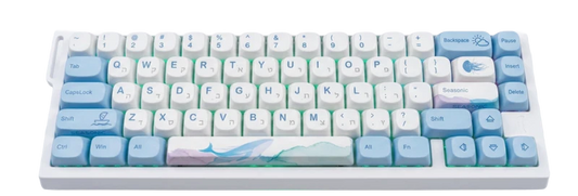 כיפות מקשים (Keycaps) בהשראת האוקיינוס – לווייתן, מדוזה, קרפדה | חריטת עברית PBT