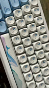 כיפות מקשים (Keycaps) בהשראת האוקיינוס – לווייתן, מדוזה, קרפדה | חריטת עברית PBT